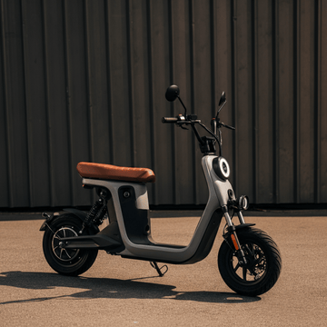Affordable E-Mopeds: The New Transportation Trend for Teens - Tesevo