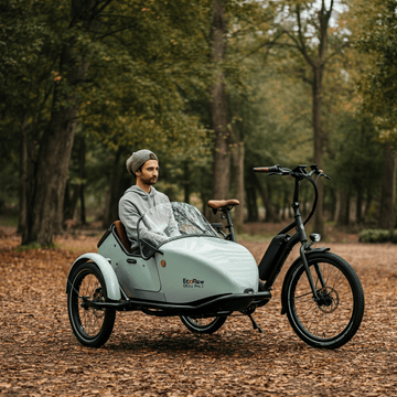 Exploring the Latest in Eco-friendly Innovations: The MOD Easy SideCar Sahara e-bike and EcoFlow DELTA Pro 3 - Tesevo