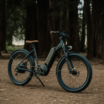 Lectric Heads North: Canadians Get Access to the U.S.'s Best-Selling E-Bikes - Tesevo