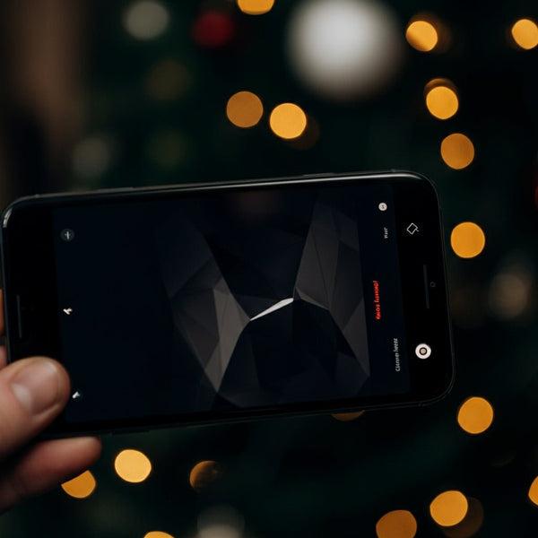 New Features in the Tesla App After the Holiday Update