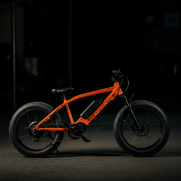 Rad Power Bikes Files for Bankruptcy: What's Next for the E-Bike Industry? - Tesevo