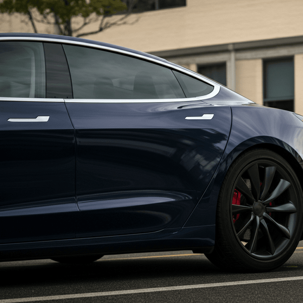 US Congress Introduces SAFE Exit Act to Address Tesla Door Handle Safety Issues