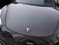 3D Metal Badge Stickers for Model 3 & Model Y 2017-Present - Tesevo