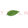 TESEVO Model 3 Y tailgate lettered rear logo replacement cabin view