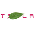 TESEVO Model 3 Y tailgate lettered rear logo replacement fitment detail