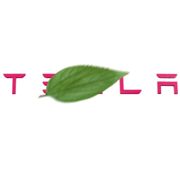 TESEVO Model 3 Y tailgate lettered rear logo replacement fitment detail
