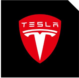TESEVO LED Logo Tesla Puddle Lights for Model 3 / Y / S / X - Tesevo