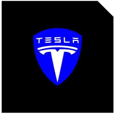 TESEVO LED Logo Tesla Puddle Lights for Model 3 / Y / S / X - Tesevo