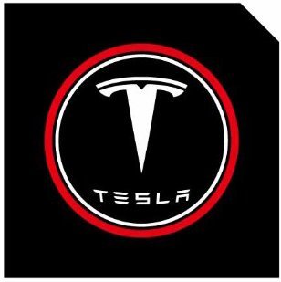 TESEVO LED Logo Tesla Puddle Lights for Model 3 / Y / S / X - Tesevo