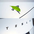 TESEVO real carbon fiber logo cover for Model 3/Y main