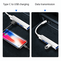 Tesla USB Tepy C Hub suitable for Model 3/Y/S/X | 4 in 1 USB 3.0 Ports - Tesevo